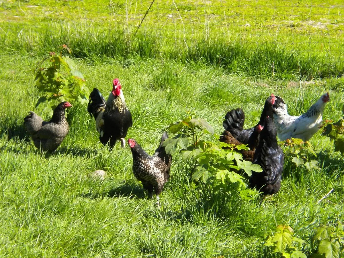 Bindesbolgard Farm Holiday Give Denemarken