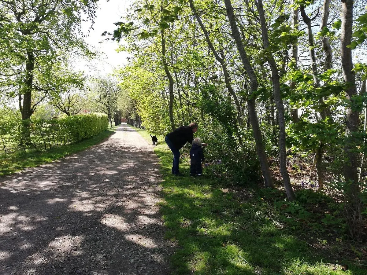 Vakantieboerderij Bindesbolgard Farm Holiday Give Denemarken
